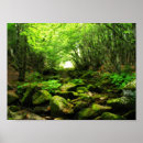 Recherche de spirituality Trees