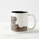 Recherche de rampes tasses Brun