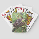 Recherche de végétation jeux de cartes Plantes