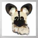 Zoek naar afrikaanse wilde hond posters Honden