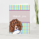 Recherche de springer spaniel vœux cartes Mignon