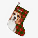 Recherche de chiens chaussette de noël Vert