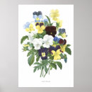 Zoek naar tricolore posters Antiek