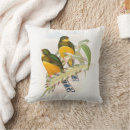 Recherche de trogon Oiseaux