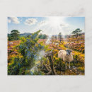 Recherche de landes cartes postales Bruyère