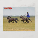 Zoek naar hongarije briefkaarten Paard
