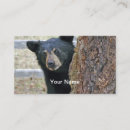 Recherche de ours cartes visite Arbre