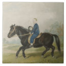 Recherche de poneys carreaux Cheval
