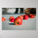 Zoek naar appelen posters Najaar