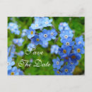 Recherche de myosotis des marais cartes postales Fleurs