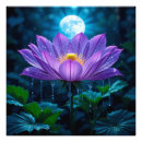 Recherche de lotus pourpre posters Nature