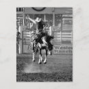 Recherche de barils cartes postales Rodéo