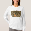 Recherche de orange de temple Religieux
