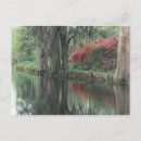 Recherche de charleston cartes postales Marais