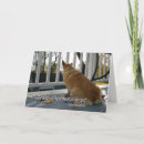 Recherche de corgi gallois pembroke cartes postales Canin