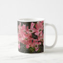 Recherche de fleur de cornouiller tasses Rose