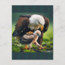 Zoek naar fathers day briefkaarten Voor vader