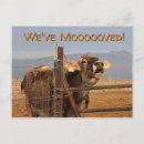 Recherche de humour vache invitations Nouvelle adresse