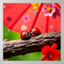Zoek naar lieveheersbeestjes posters Natuur