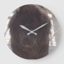 Recherche de terre neuve art Animaux
