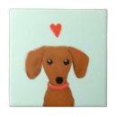 Recherche de love carreaux Animaux de compagnie