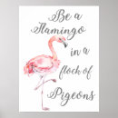Zoek naar duiven posters Flamingo