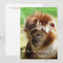 Recherche de primat invitations Animal