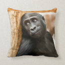 Recherche de gorille décoration coussins Zoo