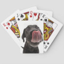 Recherche de nez jeux de cartes Chien