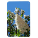 Recherche de notre arbre magnets Fleurs