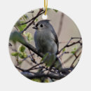 Recherche de mésange tuftée maison deco Nature
