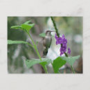 Recherche de jamaïcain cartes postales Nature