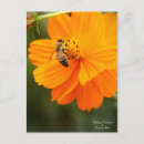 Zoek naar bee briefkaarten Bloem