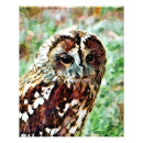 Recherche de hibou mignon posters Chouette