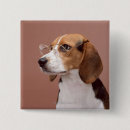 Recherche de de beagle badges Animaux domestiques