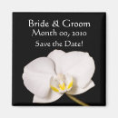 Recherche de orchidées magnets Blanc