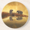 Recherche de éléphant dessous de verres Nature