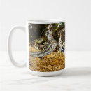 Recherche de barbu tasses Faune