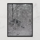 Recherche de cabine cartes postales Arbres