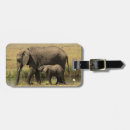 Recherche de kenya accessoires Animaux de safari