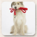 Recherche de vue face dessous de verres Amitié