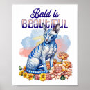 Recherche de chat mexicain posters Chats