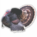 Recherche de dinde autocollants Oiseaux