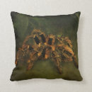 Recherche de arachnide coussins Effrayant