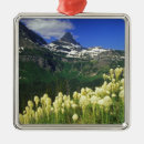 Recherche de logan ornamente Paysage