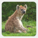 Recherche de hyena autocollants Faune