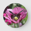 Recherche de jardinier horloges Pavot