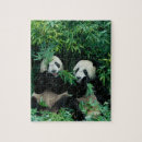 Recherche de panda puzzles Faune