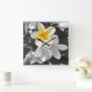 Recherche de arbres noirs et blancs horloges Photographie