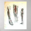 Recherche de leger posters Illustration